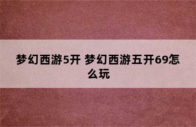 梦幻西游5开 梦幻西游五开69怎么玩